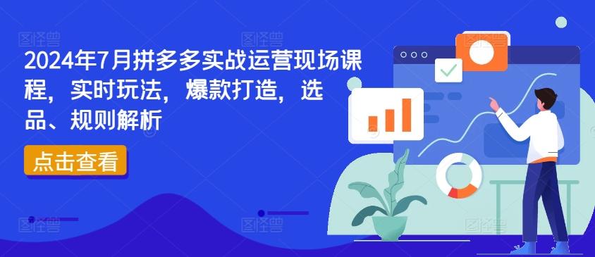 2024年7月拼多多实战运营现场课程，实时玩法，爆款打造，选品、规则解析-猴哥VIP资源站