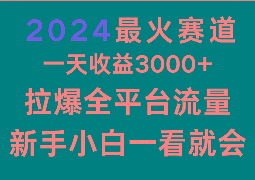 2024最火赛道，一天收一3000+.拉爆全平台流量，新手小白一看就会-猴哥VIP资源站