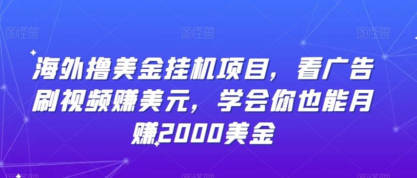 海外撸美金挂机项目,看广告刷视频赚美元,学会你也能月赚2000美金