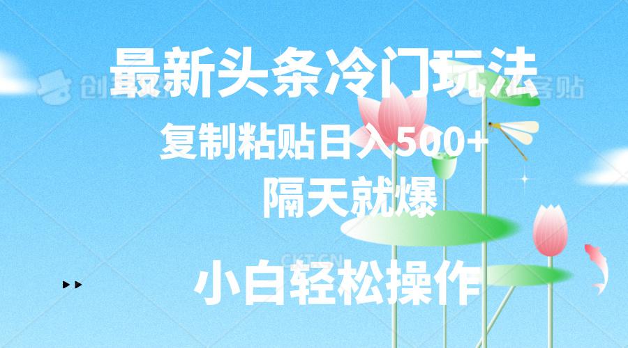 最新头条冷门玩法,隔天就爆,复制粘贴日入500+-猴哥VIP资源站