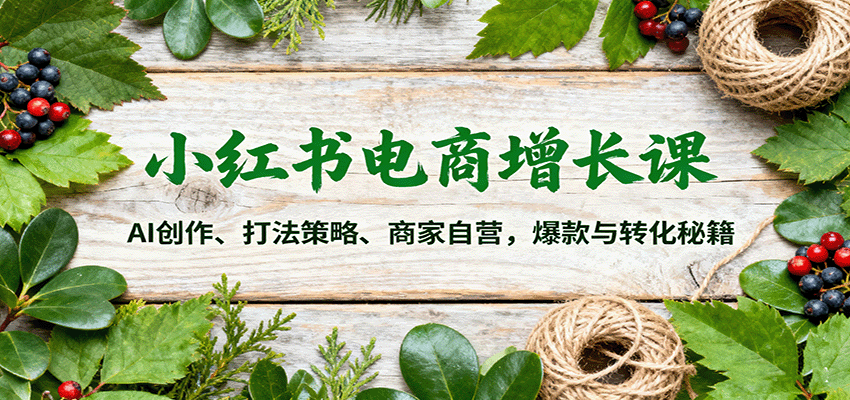 小红书电商增长课：AI创作、打法策略、商家自营，爆款与转化秘籍-猴哥VIP资源站