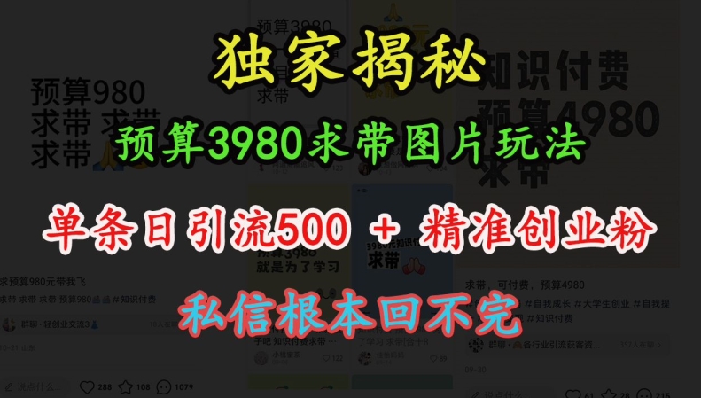 预算3980求带 图片玩法,单条日引流500+精准创业粉,私信根本回不完-猴哥VIP资源站