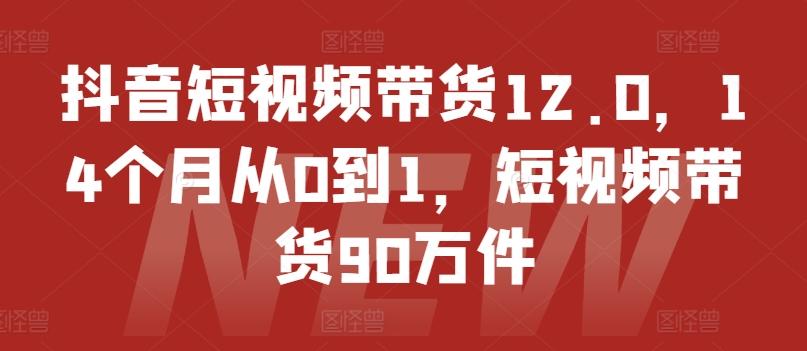 抖音短视频带货12.0，14个月从0到1，短视频带货90万件-猴哥VIP资源站