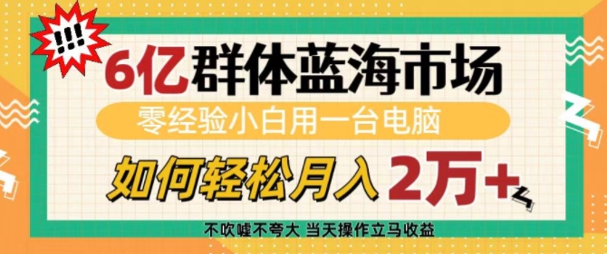 6亿群体蓝海市场，零经验小白用一台电脑，如何轻松月入过w【揭秘】-猴哥VIP资源站