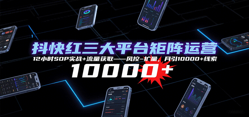 抖快红三大平台矩阵运营，12小时SOP实战+流量获取-风控-扩量，月引10000+线索-猴哥VIP资源站