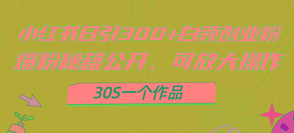 小红书日引300+高质白领创业粉，可放大操作，爆粉秘籍！30s一个作品-猴哥VIP资源站