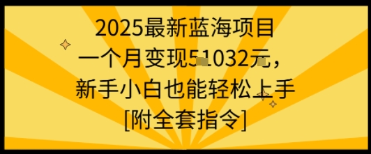 2025最新蓝海项目一个月变现1w+新手小白也能轻松上手【附全套指令】-猴哥VIP资源站
