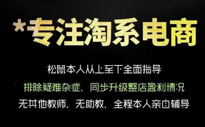 松鼠会电商VIP课程，从基础布局到高阶优化，助你掌握淘宝运营逻辑，提升店铺流量与转化-猴哥VIP资源站