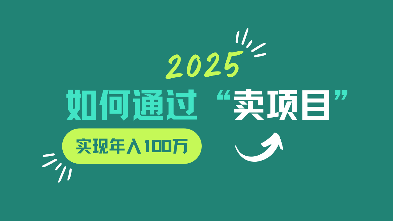 2025年如何通过“卖项目”实现年入100w-猴哥VIP资源站