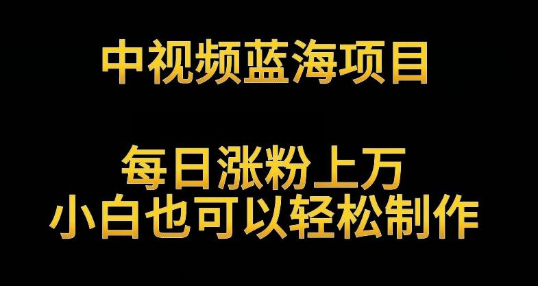 中视频蓝海项目，解读英雄人物生平，每日涨粉上万，小白也可以轻松制作，月入过万不是梦【揭秘】-猴哥VIP资源站