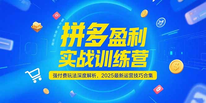 拼多多盈利实战训练营，强付费玩法深度解析，2025运营技巧合集-更新6月-猴哥VIP资源站