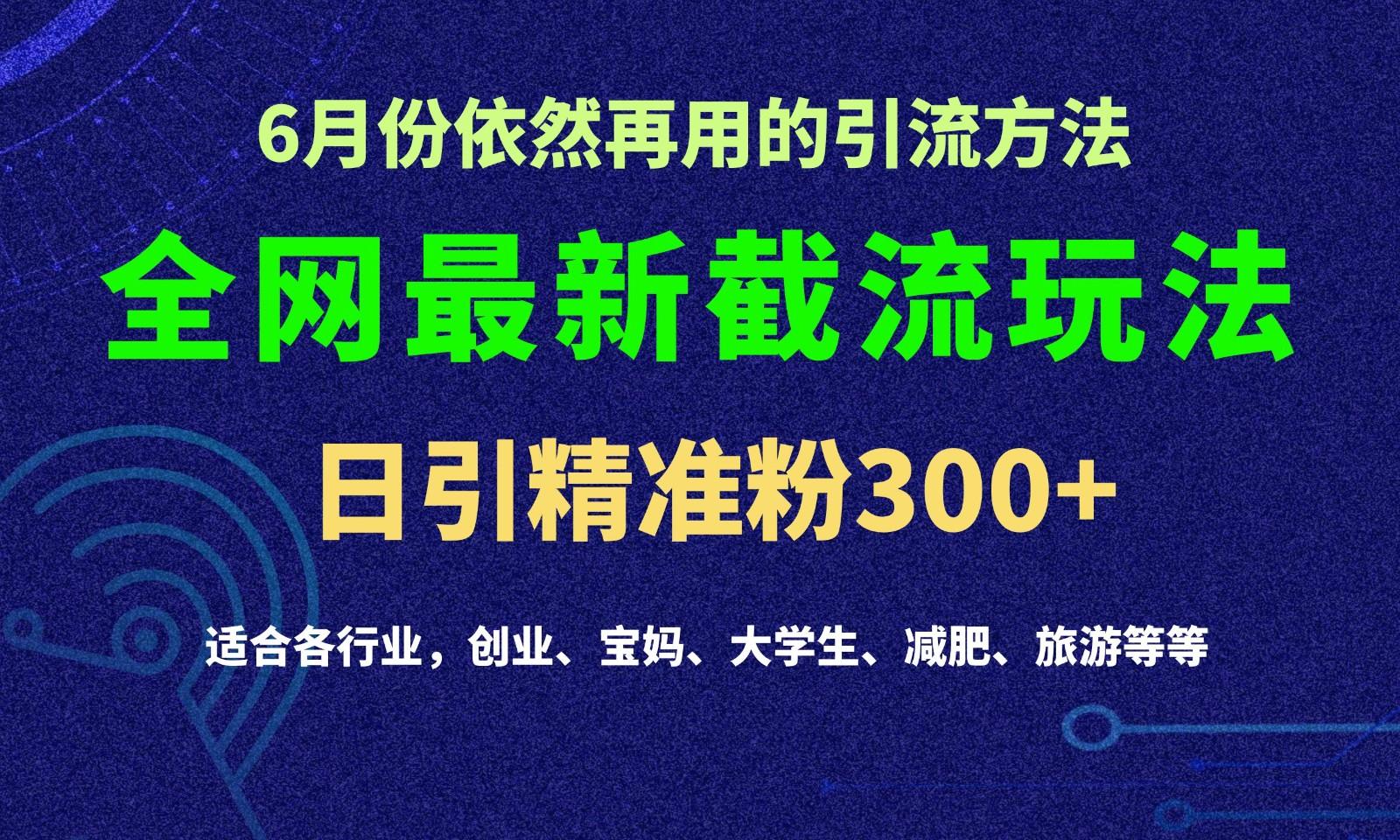 2024全网最新截留玩法，每日引流突破300+-猴哥VIP资源站
