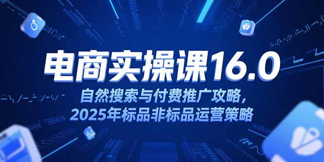 淘宝电商运营课16.0,自然搜索与付费推广攻略,2025年标品非标品运营策略-猴哥VIP资源站