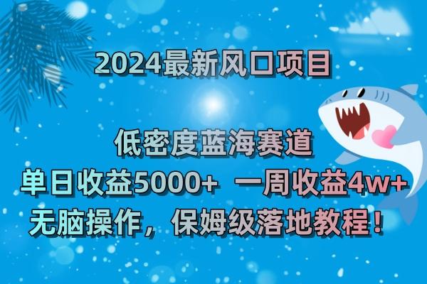 (8545期)2024最新风口项目 低密度蓝海赛道,日收益5000+周收益4w+ 无脑操作,保...-猴哥VIP资源站