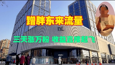 蹭胖东来流量,三天涨万粉,收益直接起飞-猴哥VIP资源站