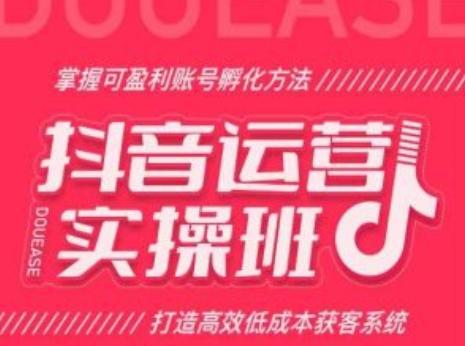 抖音运营实操班，掌握可盈利账号孵化方法，打造高效低成本获客系统-猴哥VIP资源站
