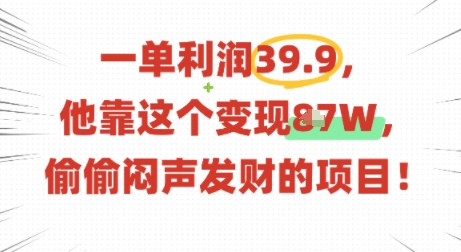 一单利润39.9，有人靠这个变现几十个，偷偷闷声发财的项目-猴哥VIP资源站