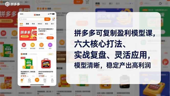 拼多多可复制盈利模型课，六大核心打法、实战复盘、灵活应用，模型清晰，稳定产出高利润-猴哥VIP资源站