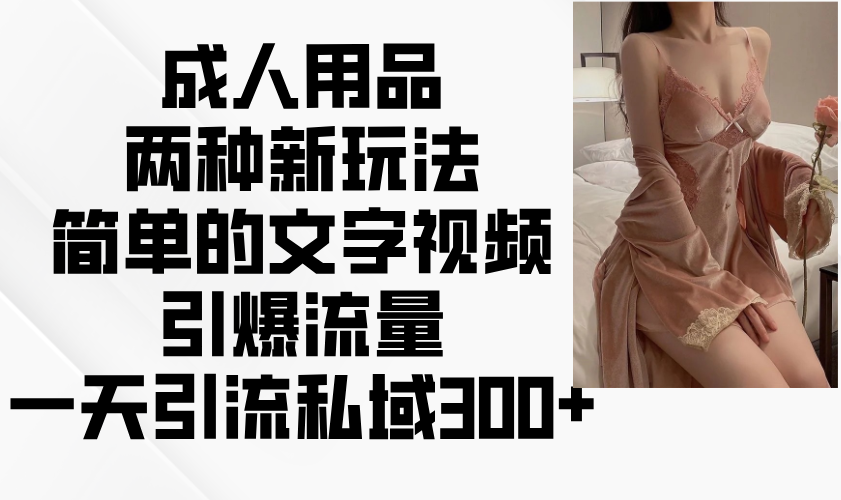 成人用品两种新玩法，简单的文字视频引爆流量，一天引流私域300+-猴哥VIP资源站