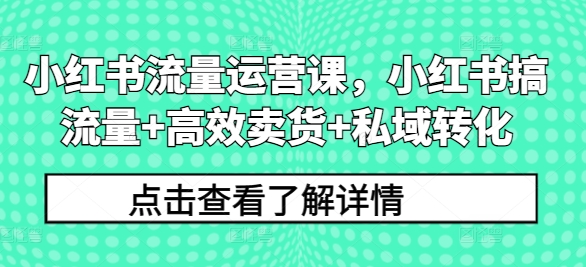 小红书流量运营课,小红书搞流量+高效卖货+私域转化-猴哥VIP资源站