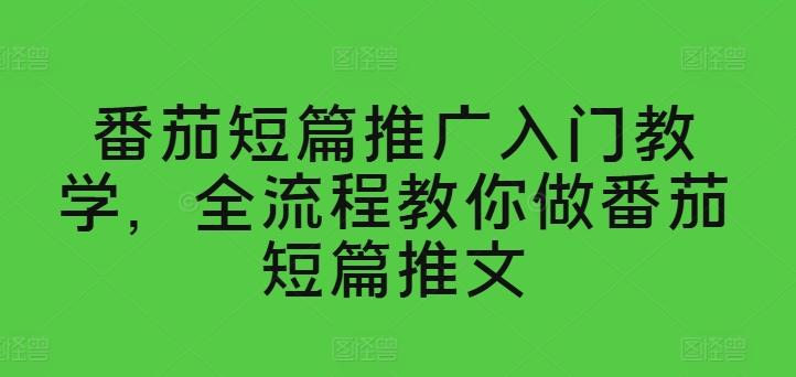 番茄短篇推广入门教学,全流程教你做番茄短篇推文