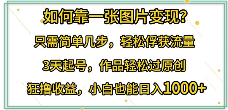 如何靠一张图片变现?只需简单几步，轻松俘获流量，3天起号，作品轻松过原创【揭秘】-猴哥VIP资源站