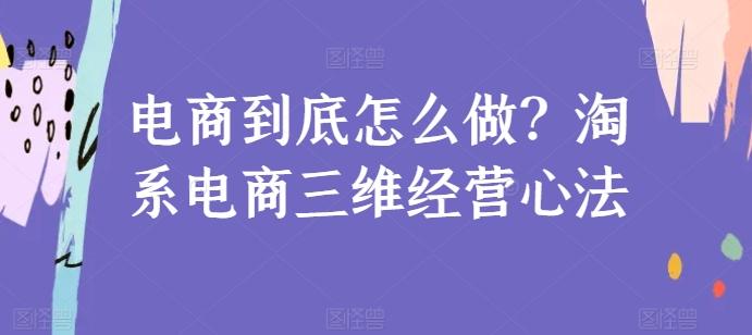 电商到底怎么做？淘系电商三维经营心法-猴哥VIP资源站