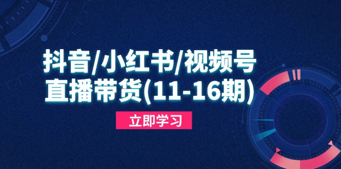 抖音/小红书/视频号/直播带货(11-16期-猴哥VIP资源站