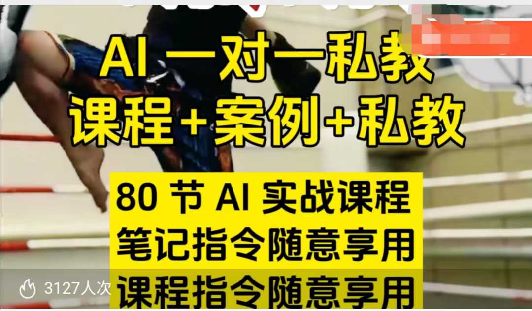 AI指令实战课，课程+案例，80节AI实战课程，笔记指令随意享用，课程指令随意享用(更新26年3月)-猴哥VIP资源站