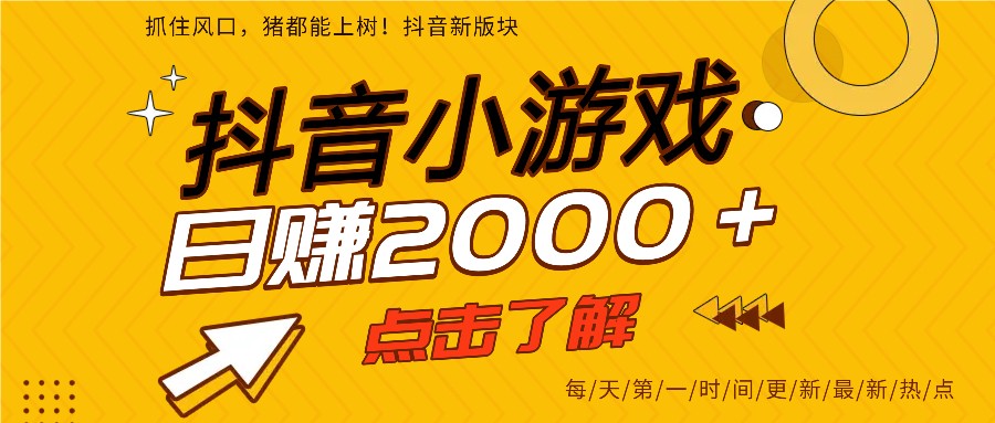 5年爆火的抖音小游戏项目，一部手机日入2000+-猴哥VIP资源站