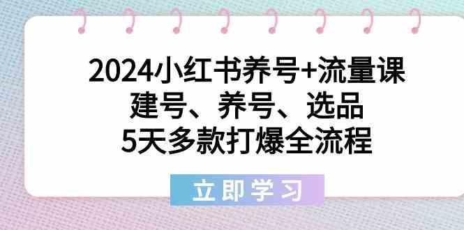 2024小红书养号+流量课：建号、养号、选品，5天多款打爆全流程-猴哥VIP资源站