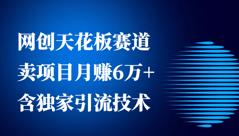 网创天花板赛道，卖项目月赚6万+，含独家引流技术(共26节课)-猴哥VIP资源站