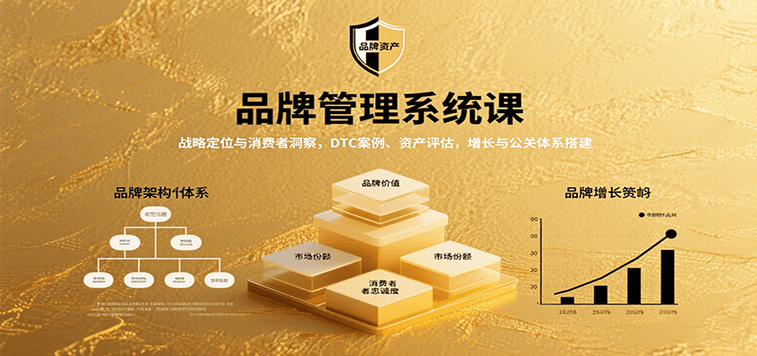 品牌管理系统课：战略定位与消费者洞察，DTC案例、资产评估，增长与公关体系搭建-猴哥VIP资源站