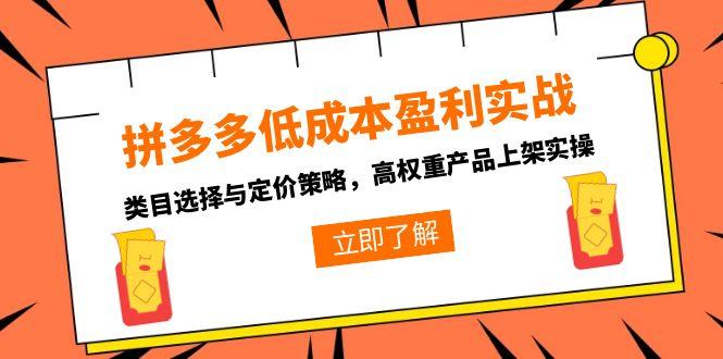 拼多多低成本盈利实战，类目选择与定价策略，高权重产品上架实操-猴哥VIP资源站