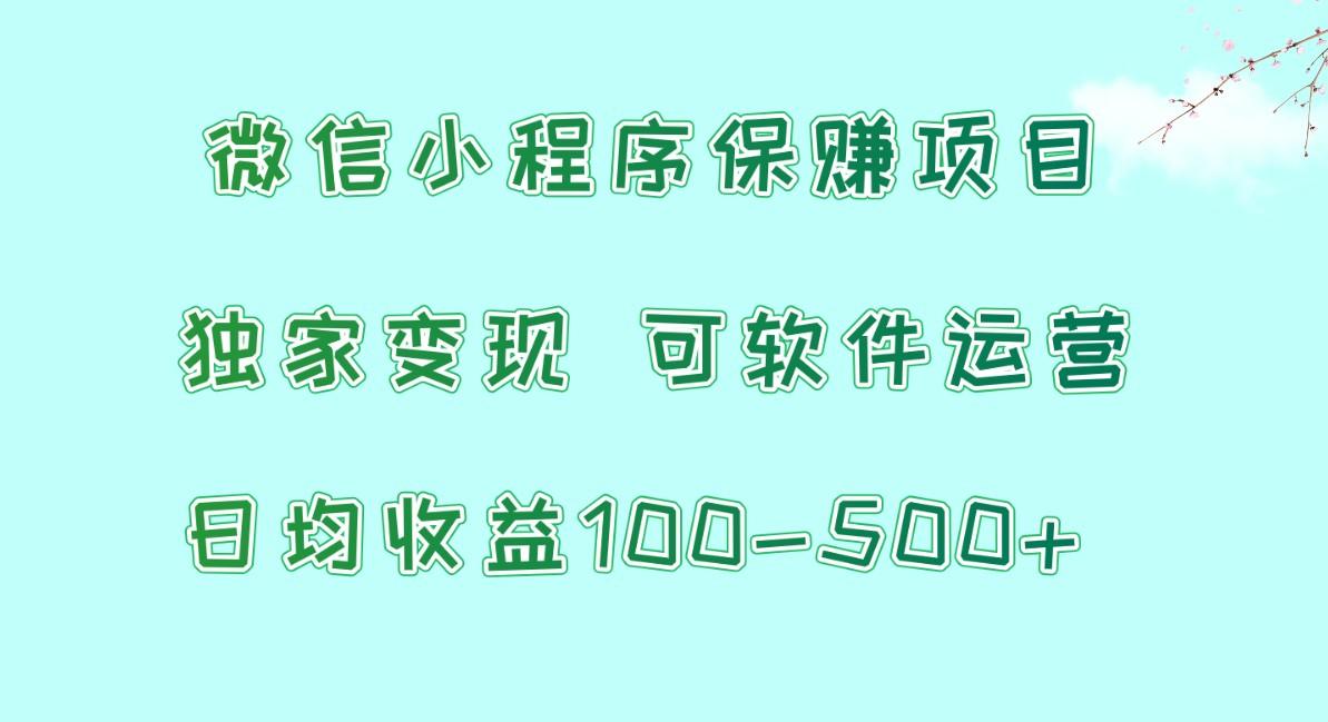 微信小程序保赚项目,日均收益100~500+,独家变现,可软件运营-猴哥VIP资源站