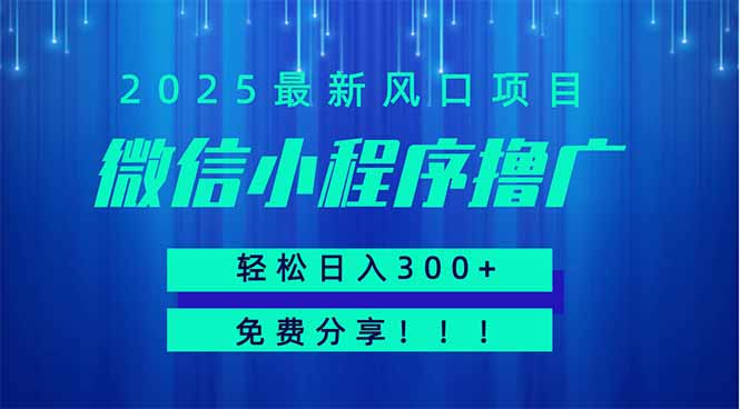 微信小程序撸广，最新风口项目，日入300+ 免费分享 可批量操作 小白可…-猴哥VIP资源站