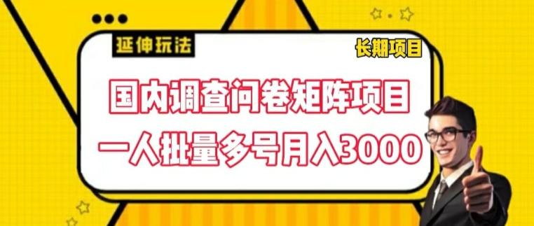 国内调查问卷矩阵项目,一人批量多号月入3000【揭秘】