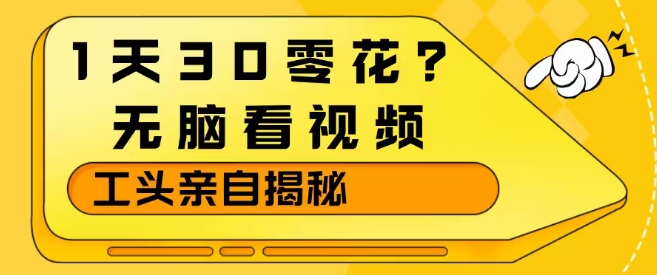 1天30零花？无脑看视频，大佬亲自揭秘-猴哥VIP资源站