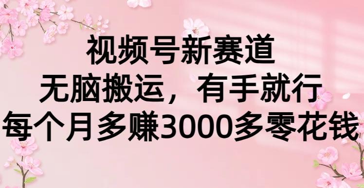 (9278期)视频号新赛道，无脑搬运，有手就行，每个月多赚3000多零花钱-猴哥VIP资源站