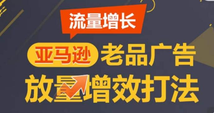亚马逊流量增长-老品广告放量增效打法,循序渐进,打造更多TOP listing-猴哥VIP资源站