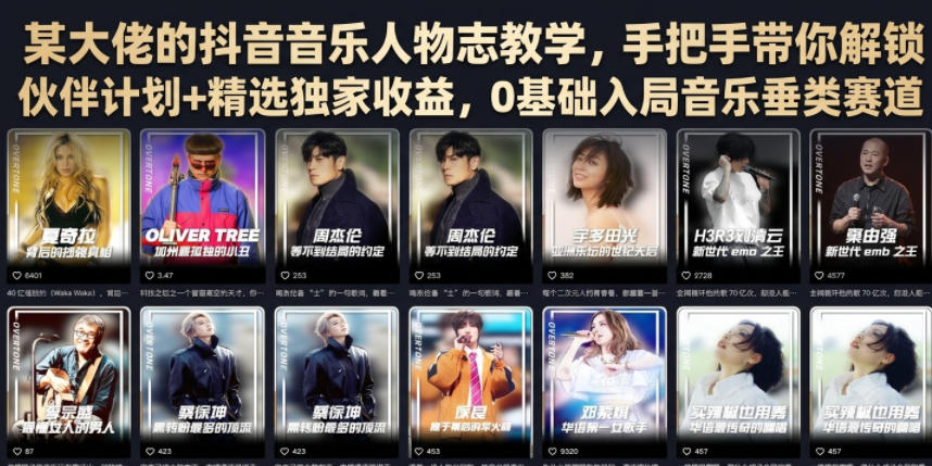 某大佬的抖音音乐人物志教学,手把手带你解锁伙伴计划+精选独家收益,0基础入局音乐垂类赛道-猴哥VIP资源站