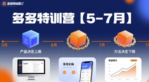 多多特训营，产品决定上限，方法决定下限，各种玩法技巧落地实操(更新)-猴哥VIP资源站