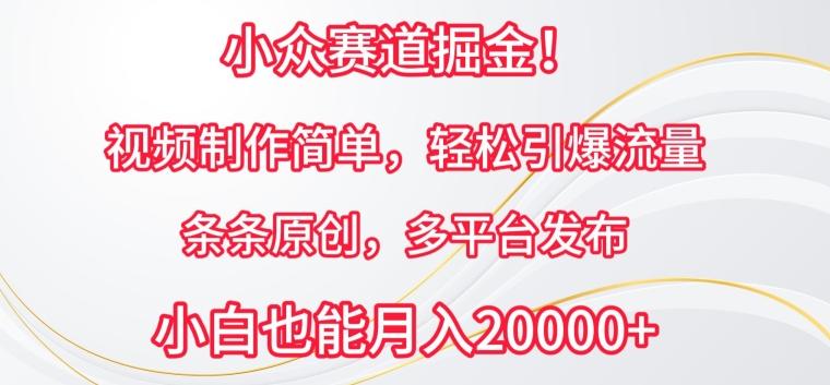 小众赛道掘金,视频制作简单,轻松引爆流量,条条原创,多平台发布【揭秘】-猴哥VIP资源站