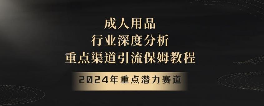 2024年重点潜力赛道，成人用品行业深度分析，重点渠道引流保姆教程【揭秘】-猴哥VIP资源站