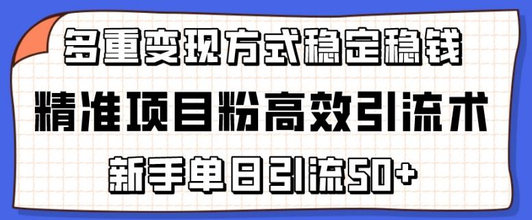 精准项目粉高效引流术,新手单日引流50+,多重变现方式稳定赚钱【揭秘】-猴哥VIP资源站