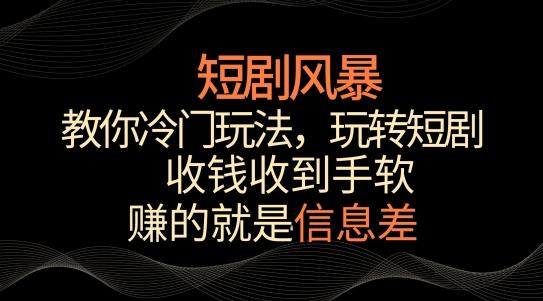 短剧风暴，教你冷门玩法，玩转短剧，收钱收到手软【揭秘】-猴哥VIP资源站