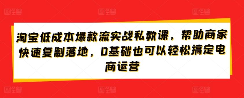 淘宝低成本爆款流实战私教课，帮助商家快速复制落地，0基础也可以轻松搞定电商运营-猴哥VIP资源站