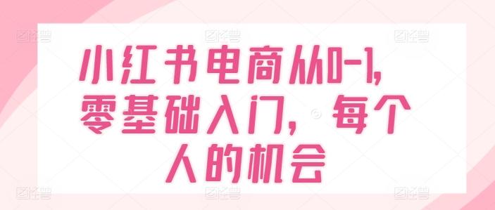 小红书电商从0-1，零基础入门，每个人的机会-猴哥VIP资源站