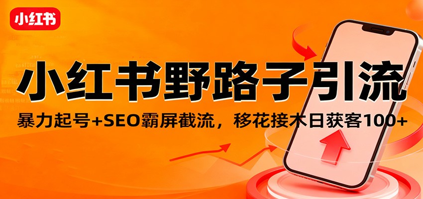 小红书野路子引流，暴力起号+SEO霸屏截流，移花接木日获客100+-猴哥VIP资源站