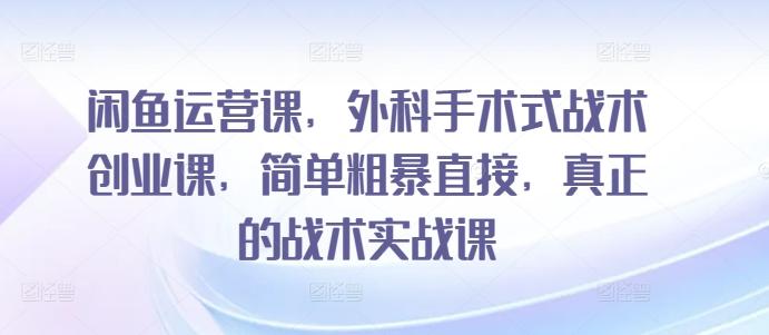 闲鱼运营课，外科手术式战术创业课，简单粗暴直接，真正的战术实战课-猴哥VIP资源站